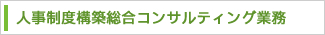 人事制度構築総合コンサルティング業務