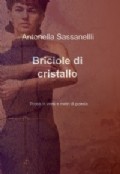 Briciole di cristallo - A. Sassanelli