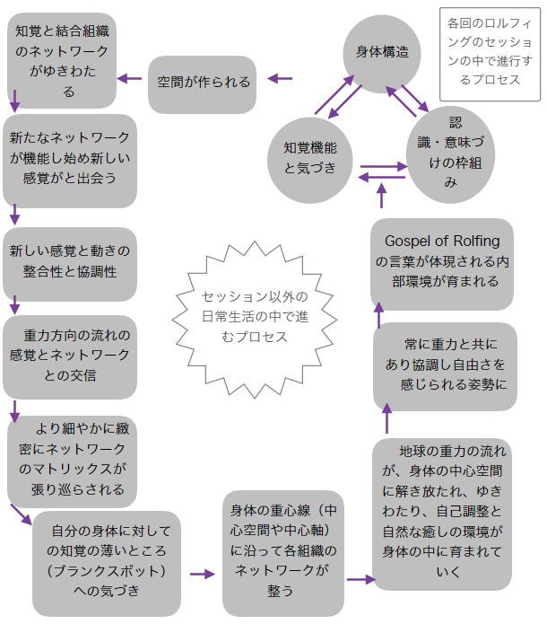 ロルフィングの重力と調和した姿勢が身に備わるメカニズムのチャート