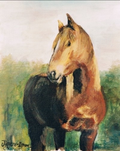 Lindseys Pferd