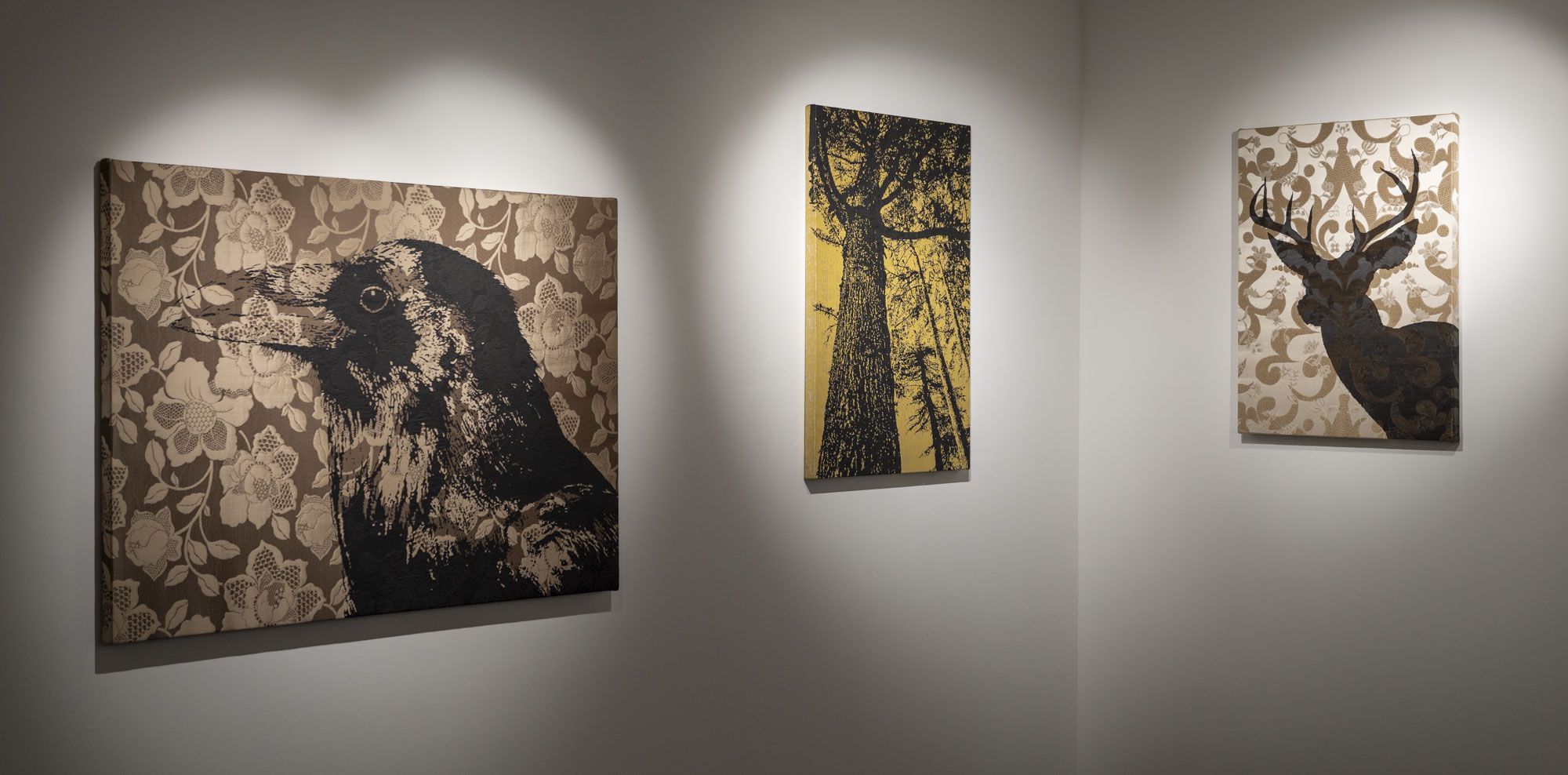 Exhibition Views / 展覧会風景