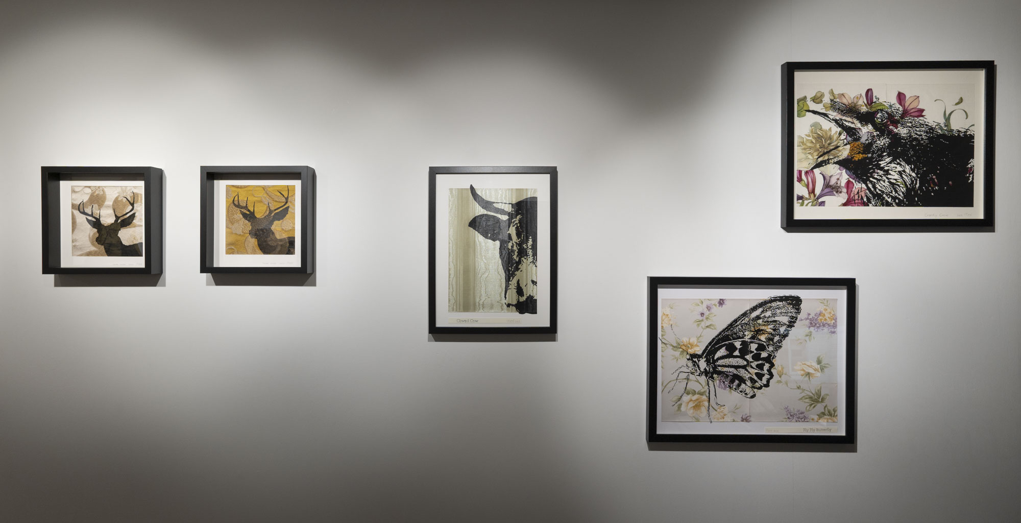 Exhibition Views / 展覧会風景