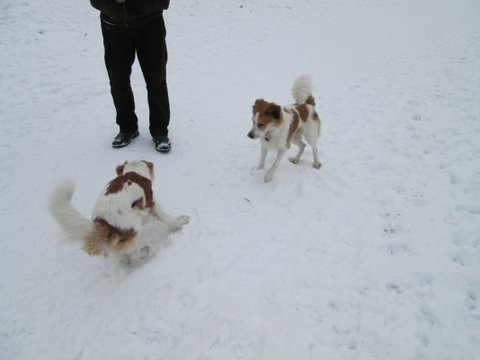 Aysha und campino