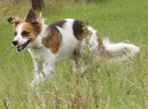 noch eine runde Fliegen
