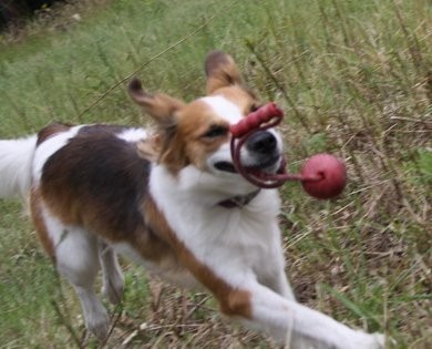 Andra hat den Ball