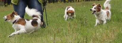 Anouk spielt eine Kuh und frisst die leckeren Grassspitzen