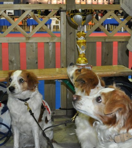 am Ehrenring mit riesen Pokal
