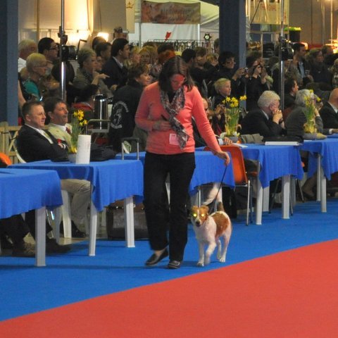 Renate und Beetje im Ehrenring