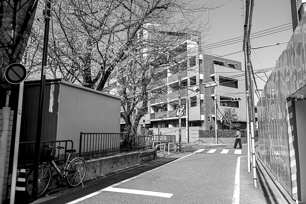 何気ない景色が選ばれる理由