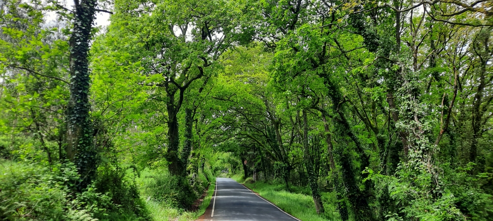 20 km auf der Landstraße 