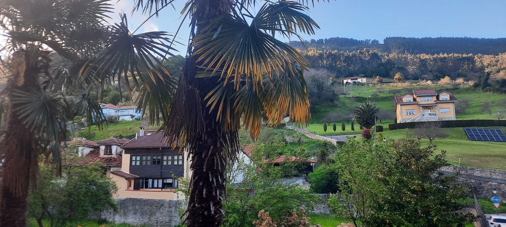 Aussicht aus meinem Zimmer