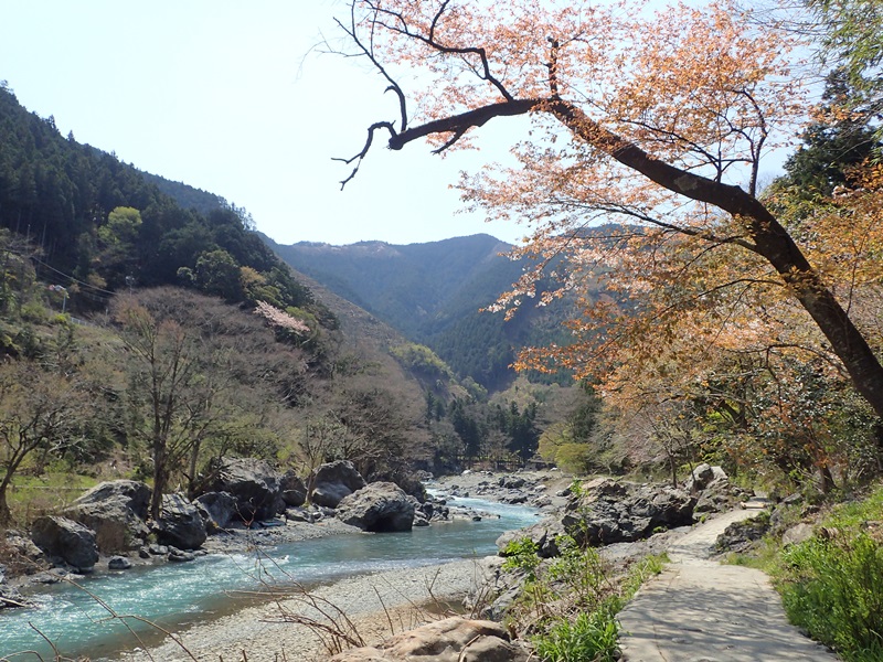 多摩川沿いの遊歩道