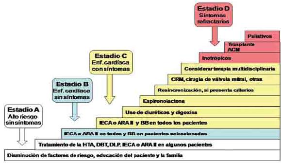 Clasificación de la ACC/AHA de IC Crónica - Página web de pseudomonas