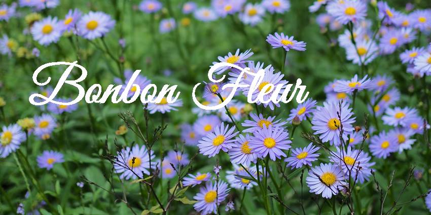 セミオーダーについて コサージュ プリザーブドフラワー ボンボン フルール