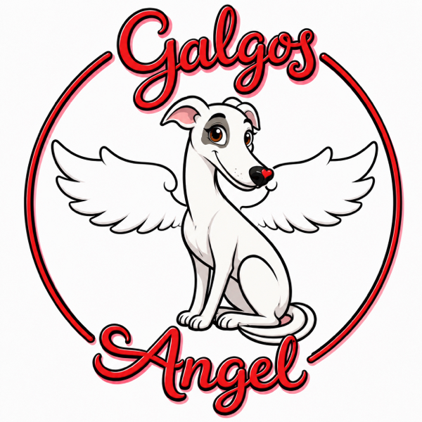 galgos angel