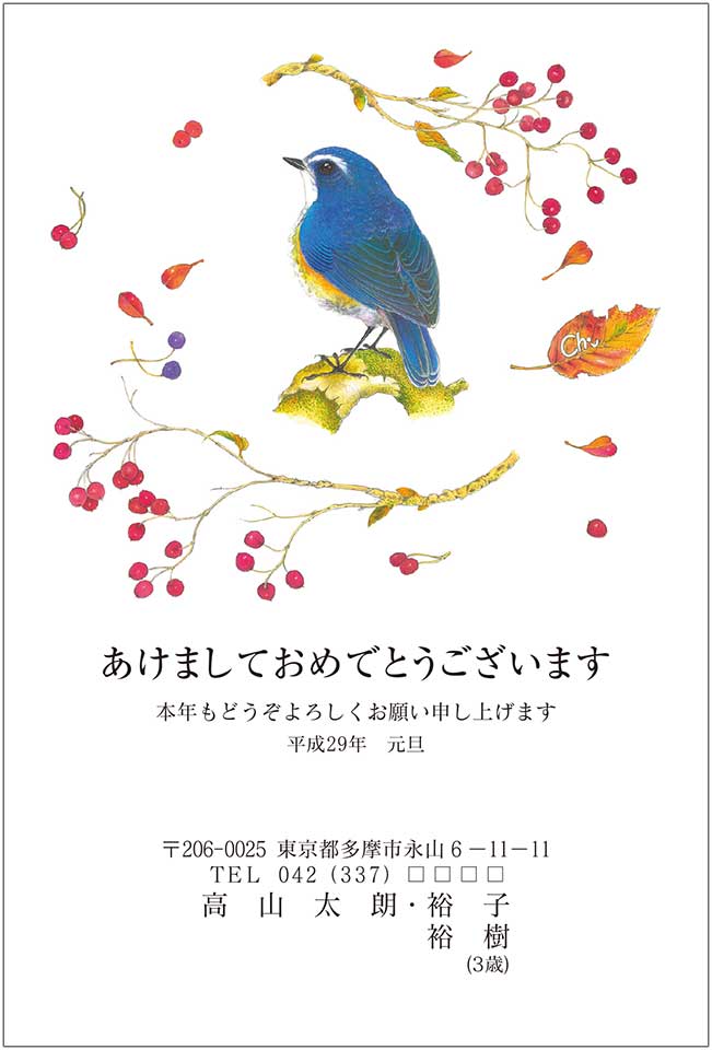 新しい到着 野鳥写真家若尾ちかしさんの額装カワセミ写真 おまけにクマタカ3 芸術写真