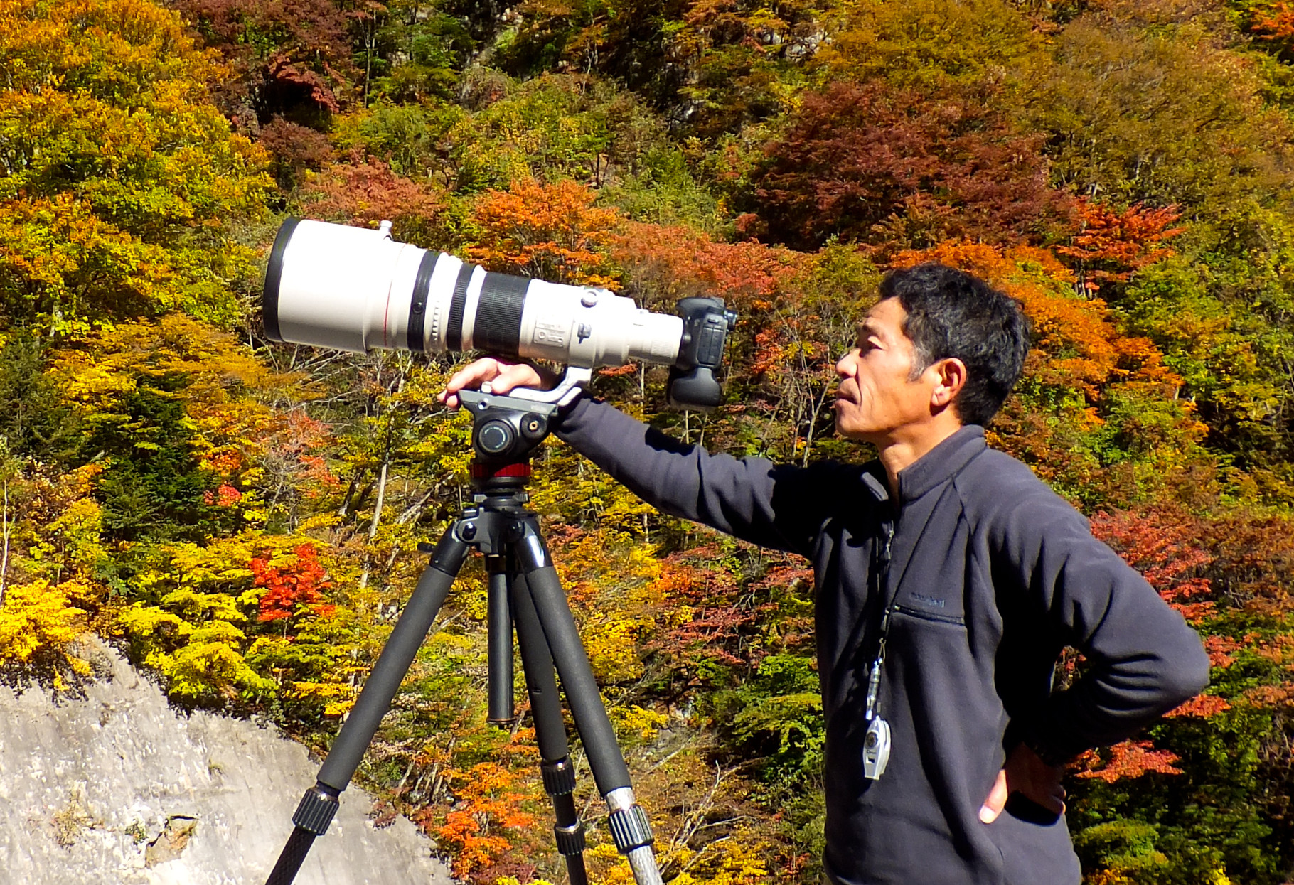 野鳥写真家若尾ちかしさんの額装カワセミ写真　おまけにクマタカ3枚イラスト5枚 2024カレンダー販売 - Wakao Bird Club - クマタカ カワセミ