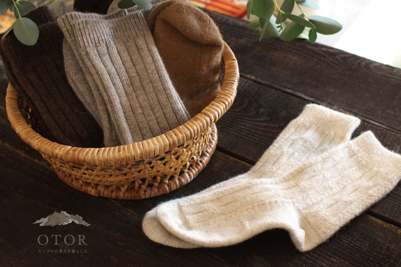 あったかモンゴルの靴下今年も入荷しました！