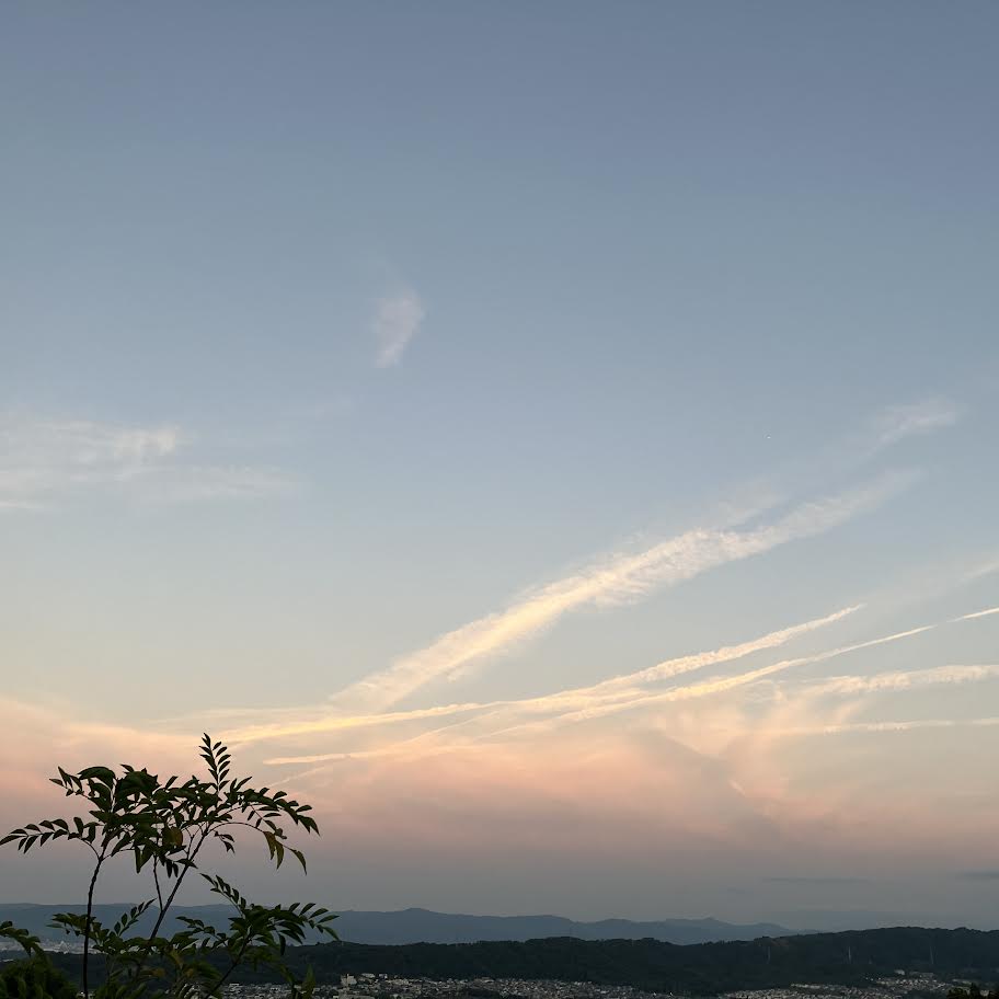 初めてのアロマトリートメントを担当させて頂くこと。