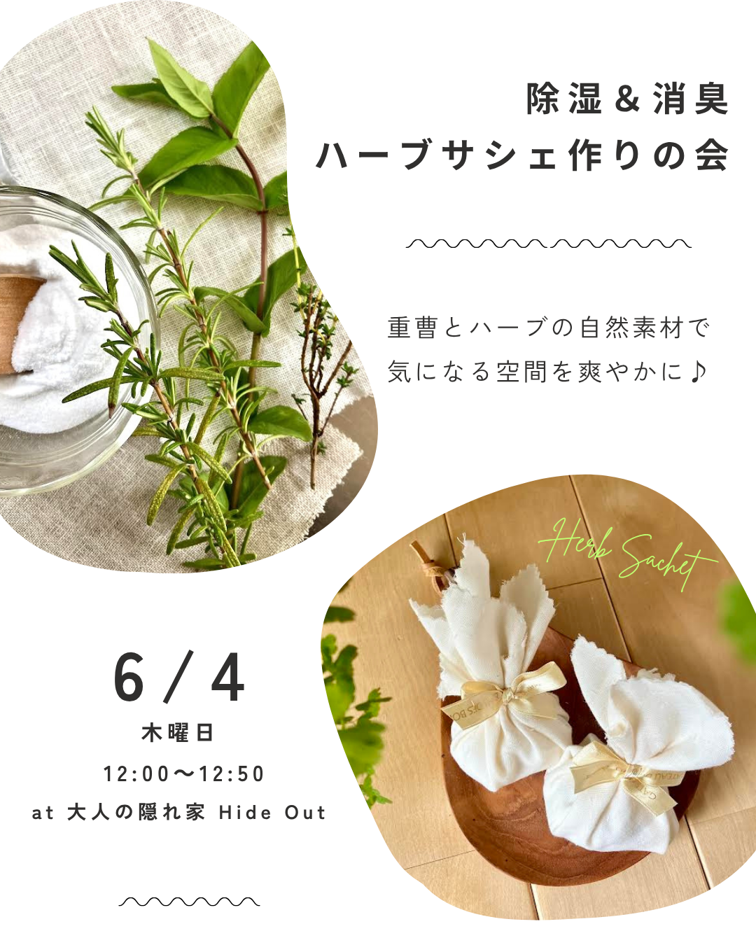 6月4日（木）ワークショップのお知らせ。