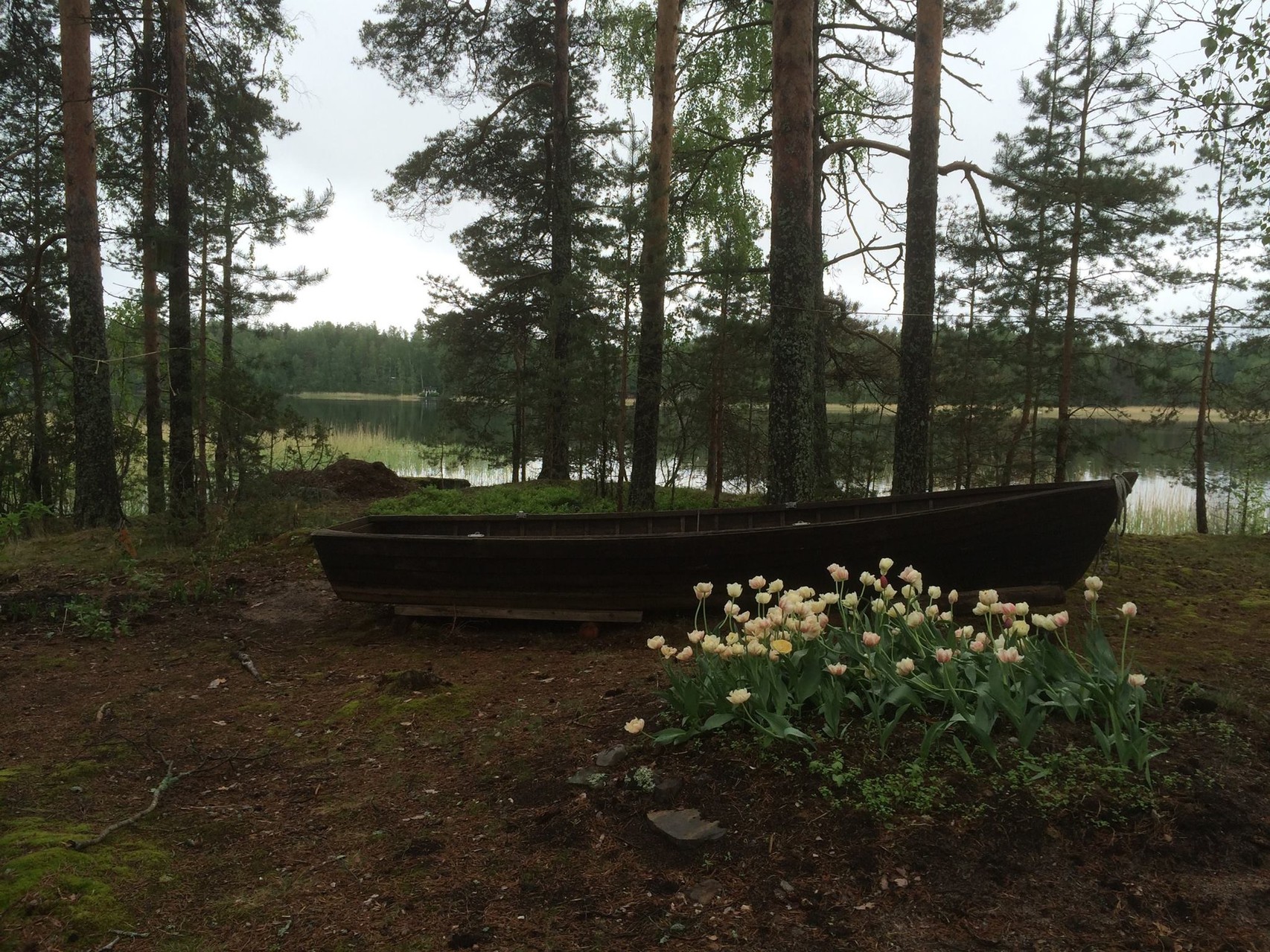 A wonderful peaceful landscape in Karhunpää