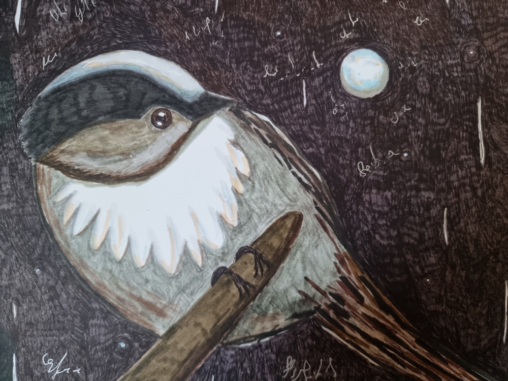Der Weg zur Weisheit beginnt mit Stille. -Pythagoras-