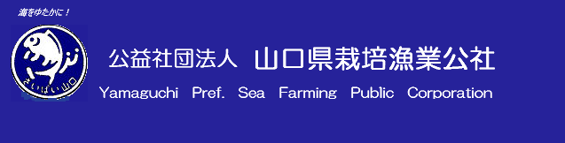 山口県栽培漁業公社