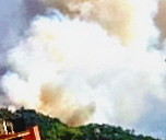 Pinède et garrigue en feu