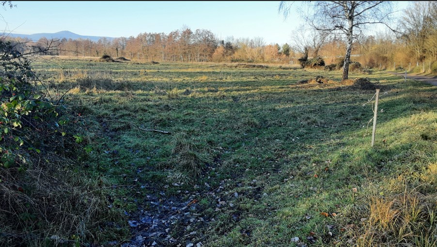 Grundstück in den Rehbachwiesen im Winter (18.12.23)