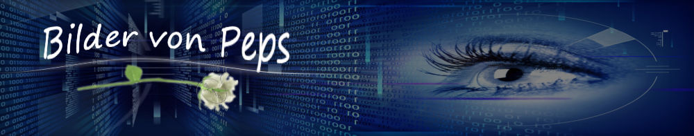 petras-traum-welts Webseite!