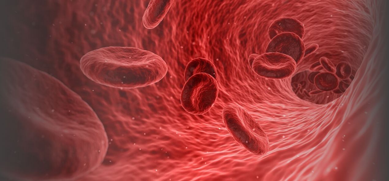 Training Modalities Consulting Clinical Diagnostics