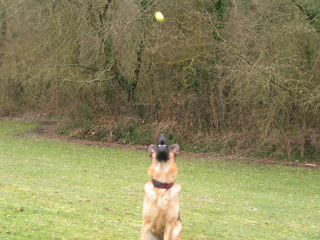 je vais l'avoir ma balle