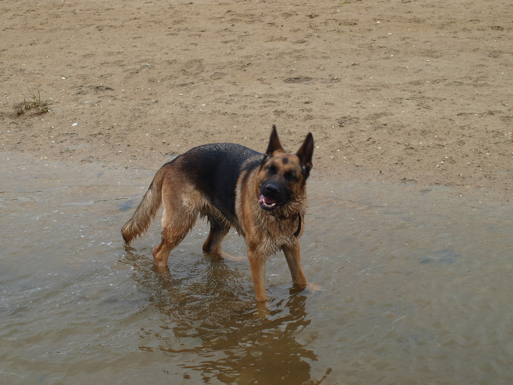 Fedjie trop heureuse dans l'eau