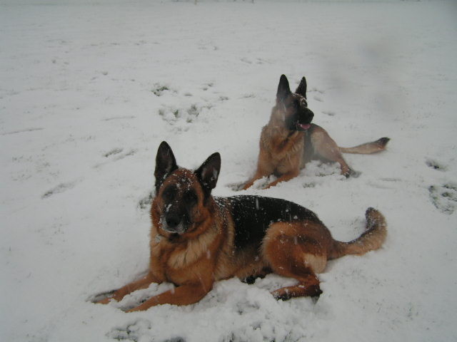 repos dans la neige