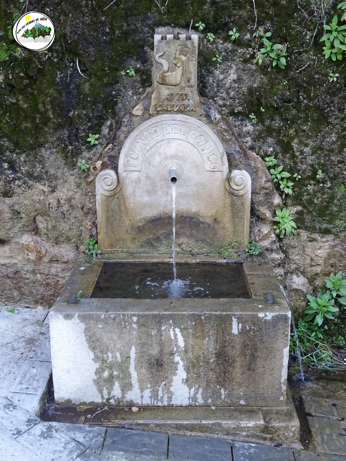 Fuente del Coñoco