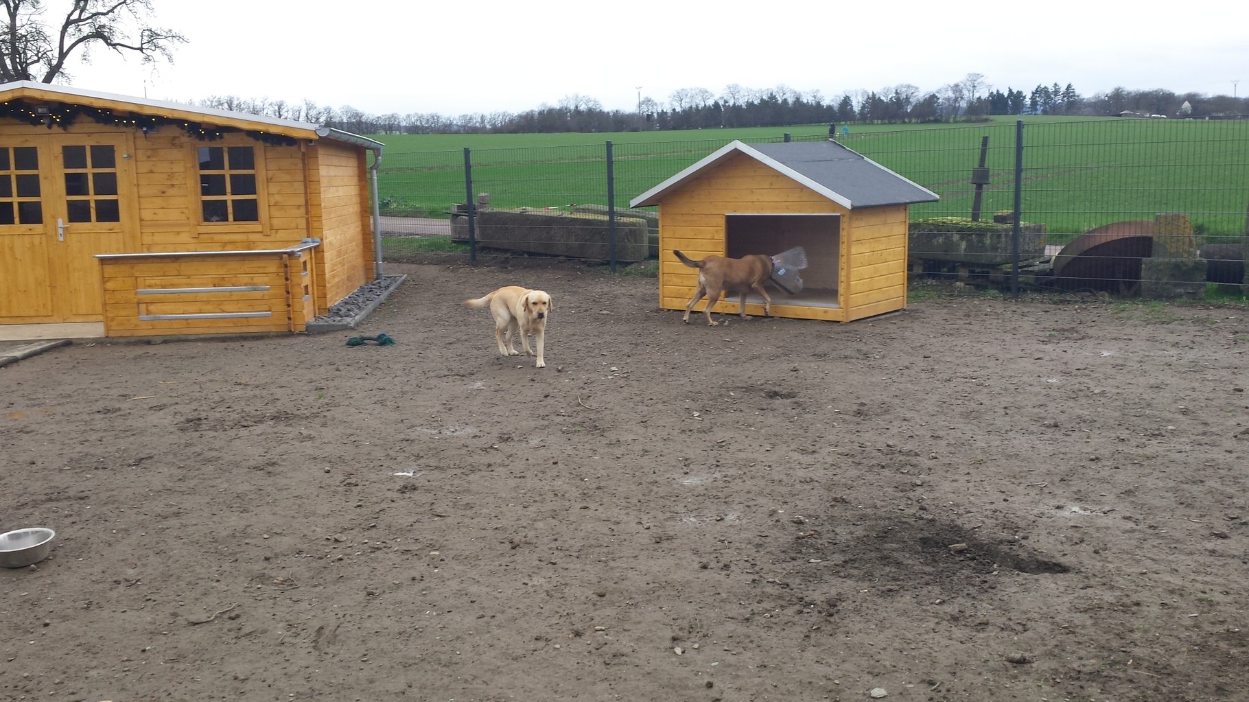 Fotogalerie und Videos von unseren Pensionsgästen - Website der ...