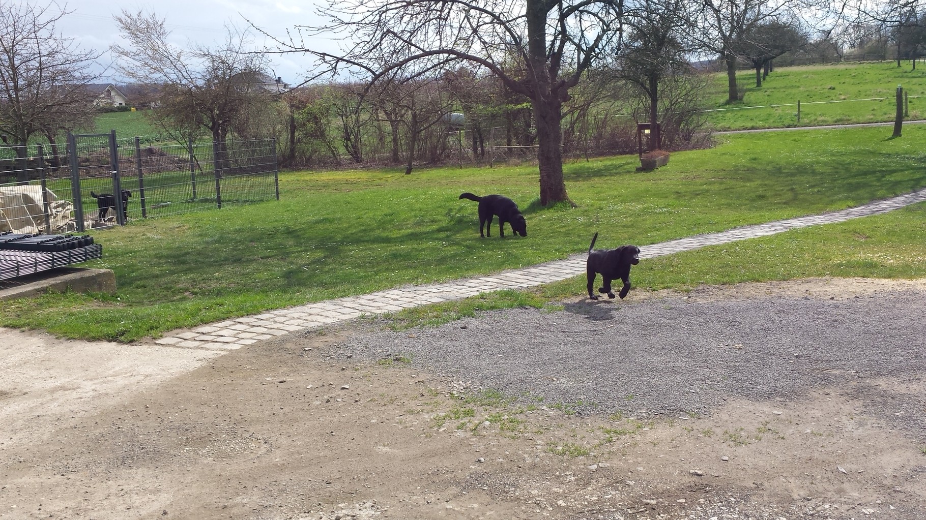 Fotogalerie und Videos von unseren Pensionsgästen - Website der ...