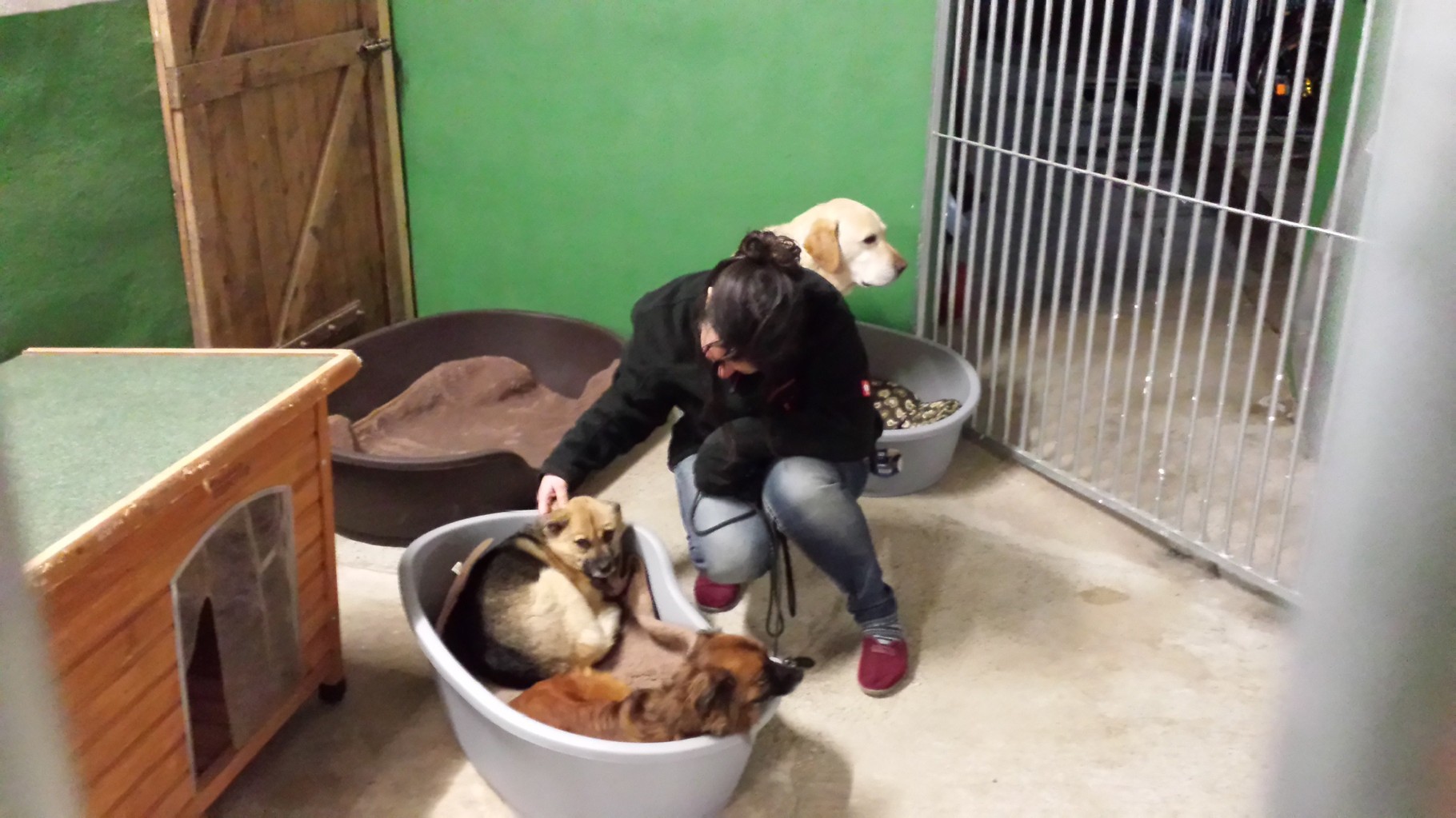 Fotogalerie und Videos von unseren Pensionsgästen - Website der ...