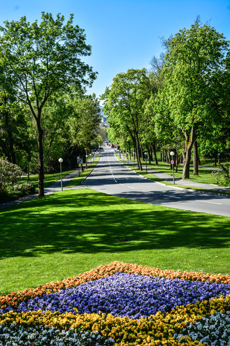 Die Auffahrt zum Festspielhaus - die Siegfried-Wagner-Allee