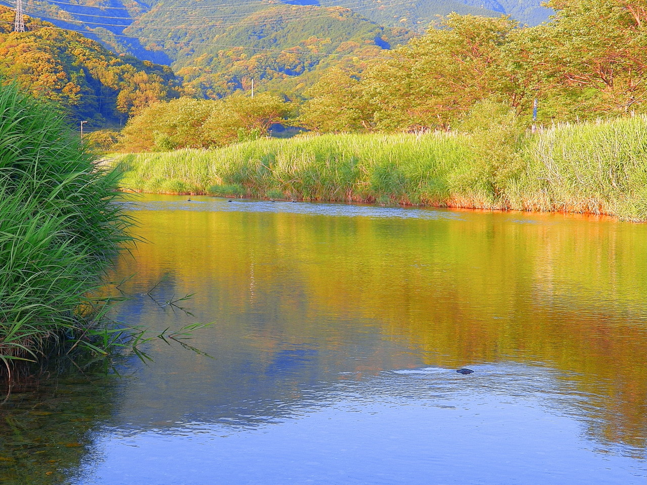 賀茂郡松崎町