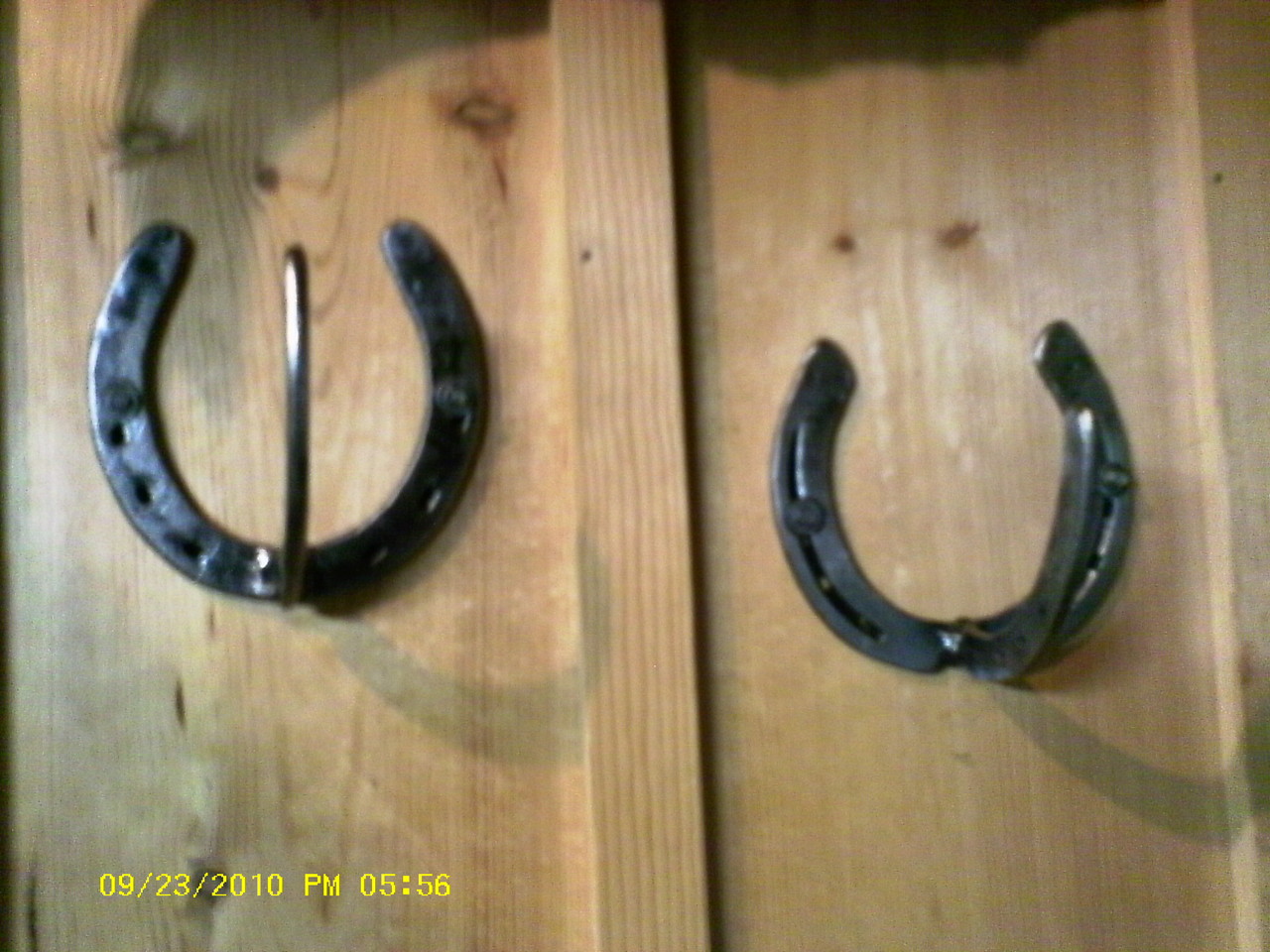 Horseshoe Art for sale The Goat Farm Goat Patrol, Wayne's