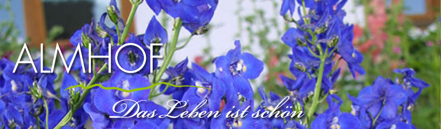tutorial hildegard almhof balderschwang Küchengifte Bingen ~ tutorial hildegard almhof balderschwang