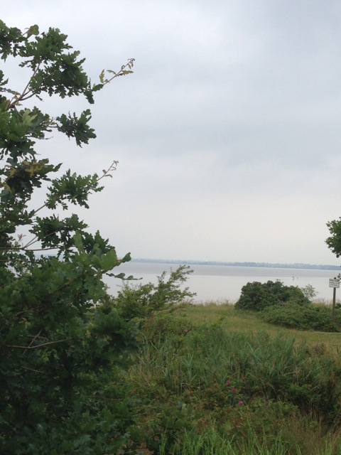 Omgivelser - Ferien im Holzhaus