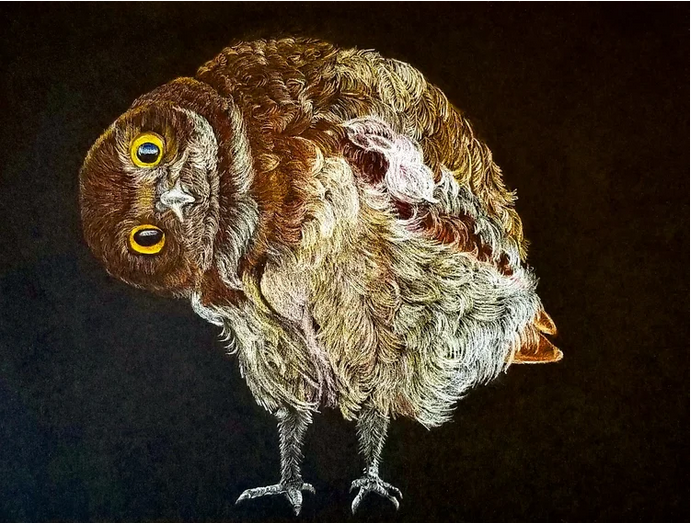 Bird Drawings - Lucien Julian