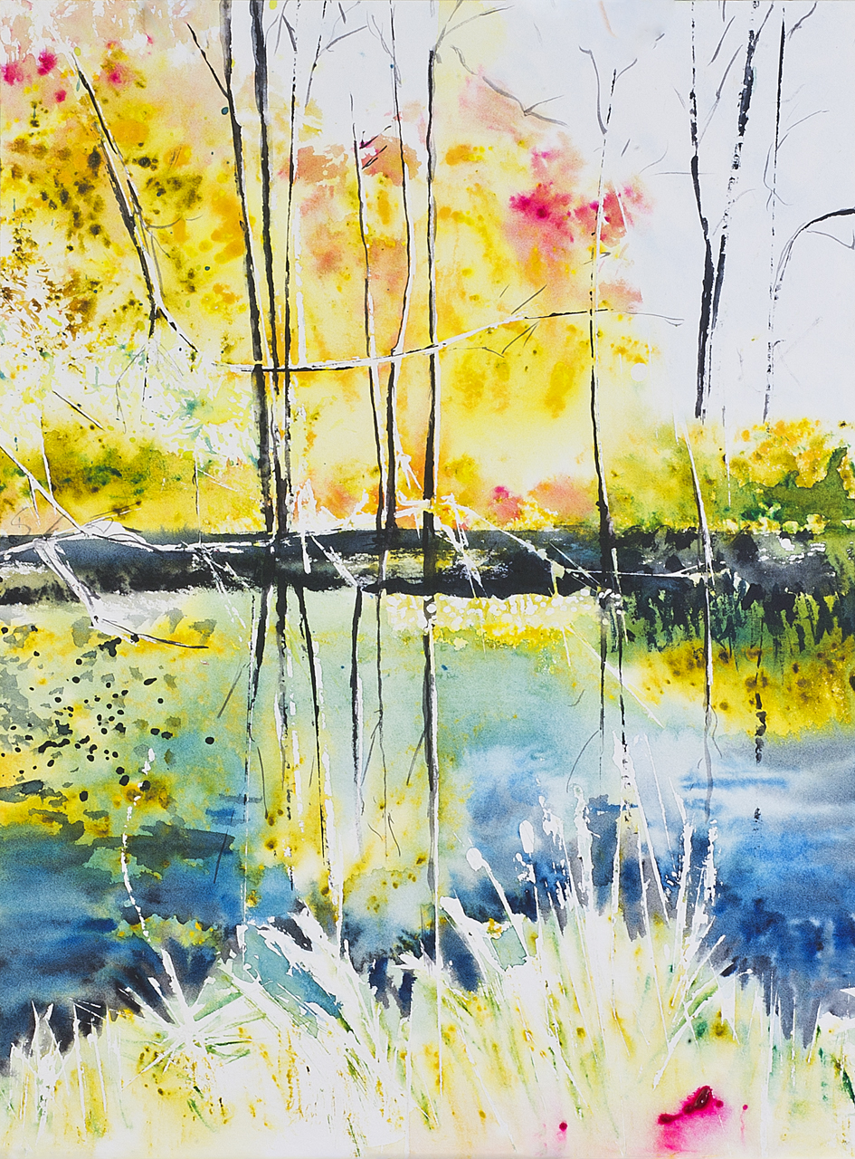 Die Nister im Herbstlicht - ein Zufluss der Sieg