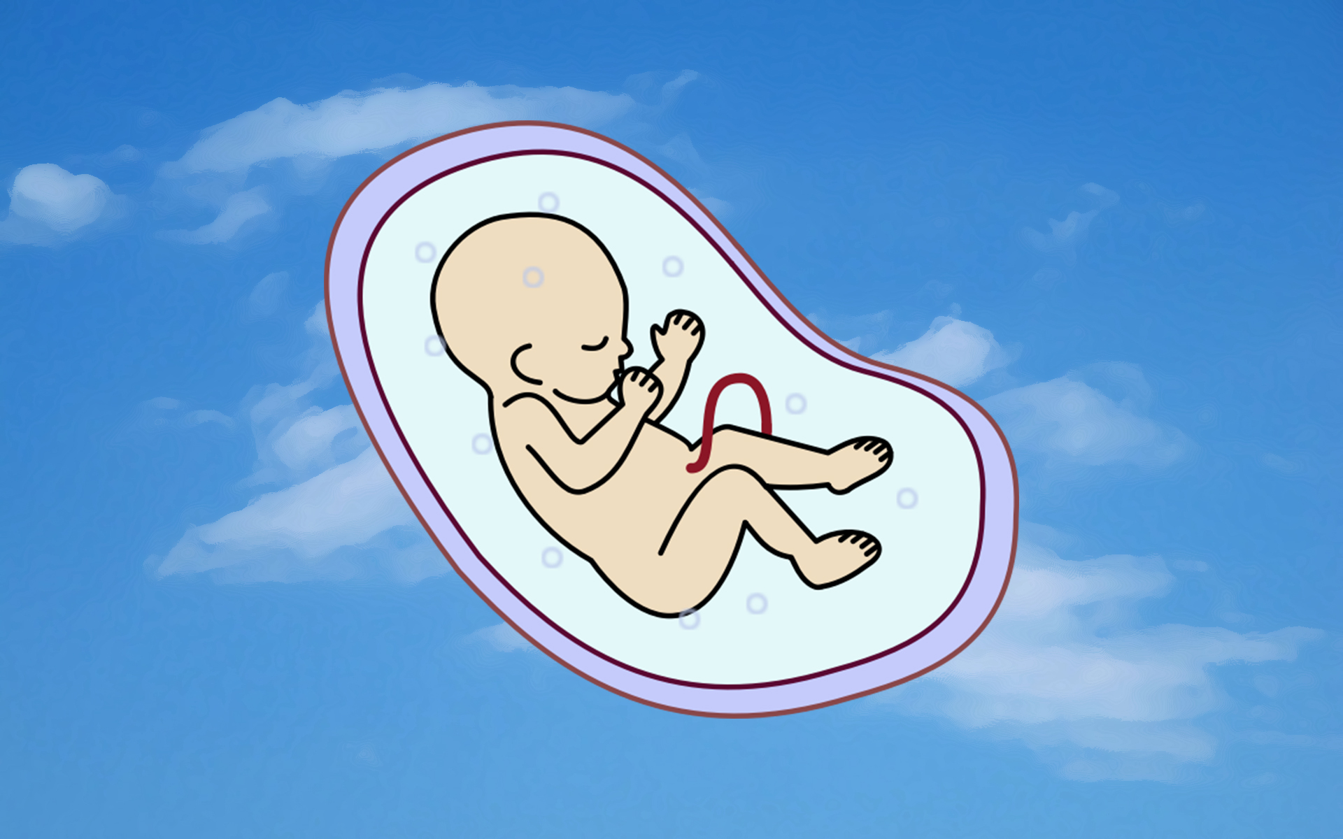 Abortion: A small reflection on a sensitive issue