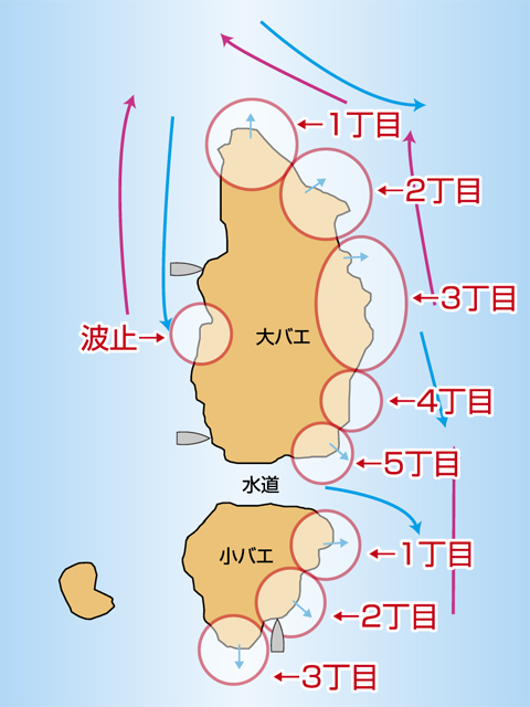 いつもの勝手な大バエの図