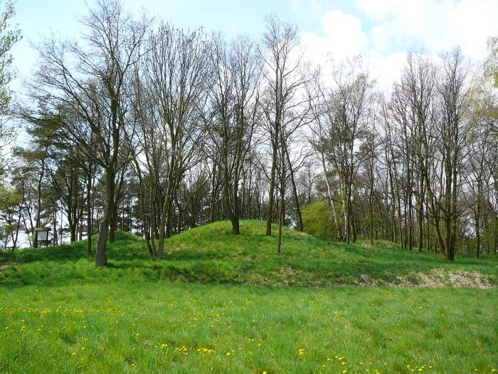 Die Grabhügel bei Hundiburg/ Haldensleben