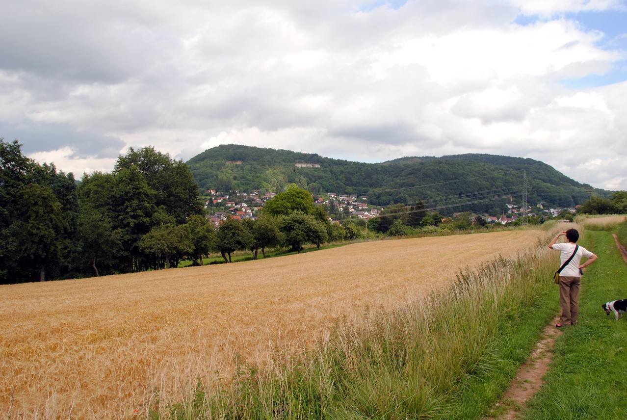 Blick zum Houbirg-Bergstock von oberhalb des BDM am Hang des Bauernbergs/Deckersbergs