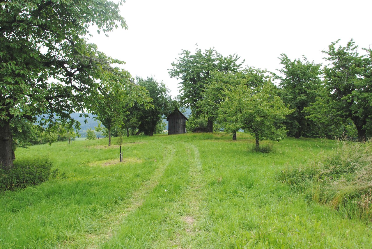 BDM und Zufahrt von Süden